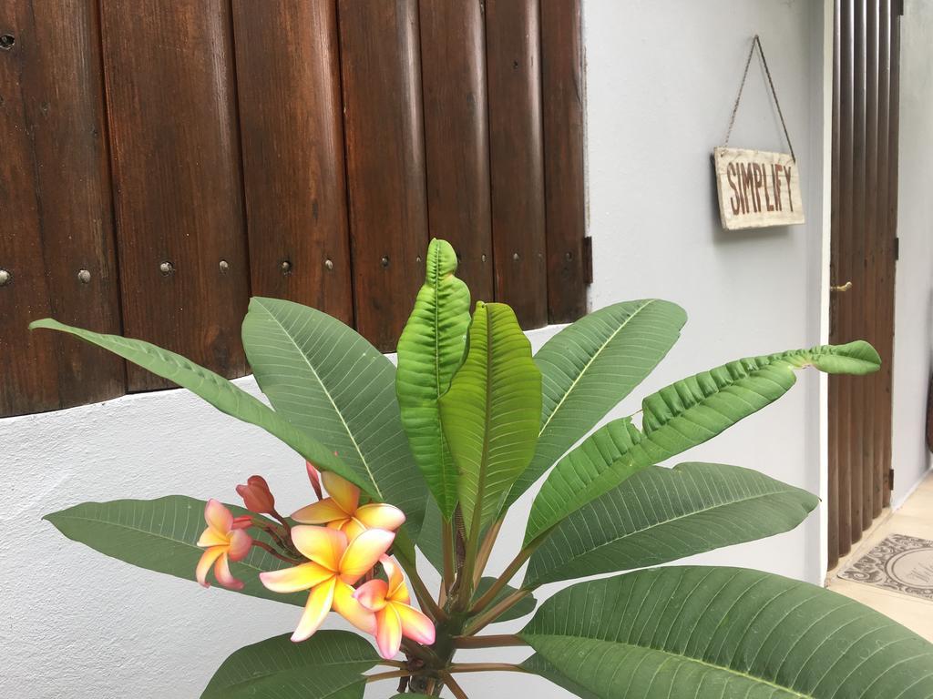 Hacienda Tres Casitas Guest House Cabo Rojo Luaran gambar
